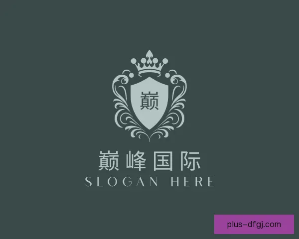 发现巅峰国际